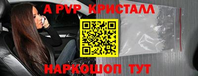 гашик Малгобек