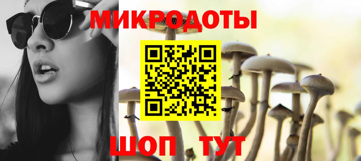 Камышин  Псилоцибиновые грибы мицелий  Псилоцибиновые грибы Magic Shrooms  магазин продажи   Вход с VPN 